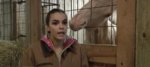 molested-horse-gringo-and-owner-jackie-miller.jpg