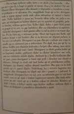 djali dhe shtrigani (2).jpg djali dhe shtrigani (2).jpg