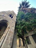 IMG_0687.jpeg