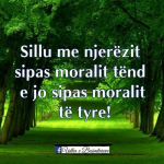 1700421158366.png