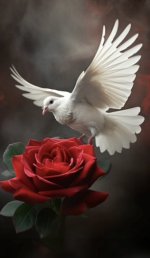 IMG_4047.jpeg