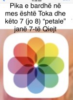 3795D00A-8B69-494C-96CB-5B69814C780B.jpeg 3795D00A-8B69-494C-96CB-5B69814C780B.jpeg
