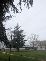 PXL_20250320_125330268.jpg
