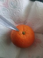 20250412_184803_mfnr.jpg