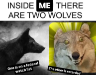 1748739883309.png