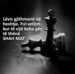 IMG_1225.jpeg