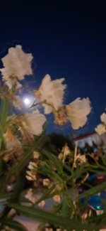 20250711_002453.jpg