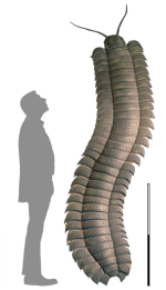 1755985793325.png