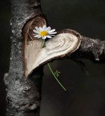 IMG_4460.jpeg