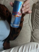 IMG_4972.jpeg