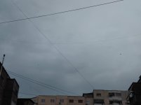 16707.jpg