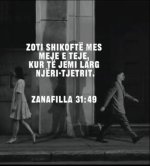 IMG_6394.jpeg