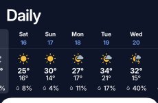 IMG_0078.jpeg