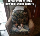 IMG_0021.jpeg