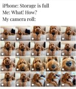 IMG_4959.jpeg