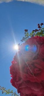 20260606_122413.jpg