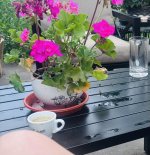 IMG_0415.jpeg