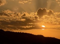 IMG_0410.jpeg