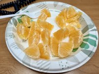 IMG_5103.jpeg