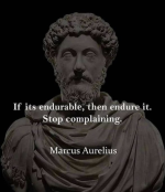 1781342803327.png
