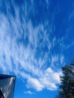 IMG_0653.jpeg