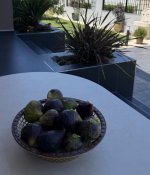 IMG_5609.jpeg