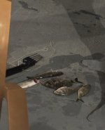 IMG_5838.jpeg
