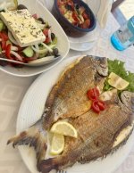 IMG_5752.jpeg