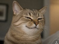 IMG_1369.jpeg