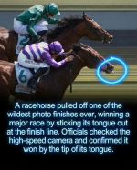 1782924504439.png