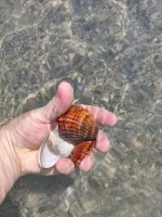 IMG_20260702_110353.jpg