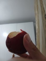 28936.jpg