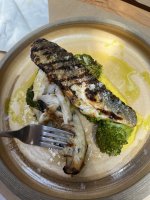 IMG_2920.jpeg