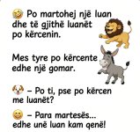 IMG_7387.jpeg
