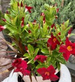 IMG_5612.jpeg