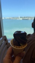 IMG_1230.jpeg
