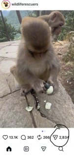 IMG_1241.jpeg