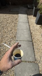 IMG_7537.jpeg