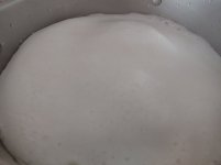 33252.jpg 33252.jpg