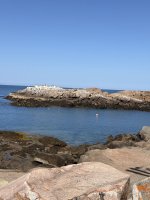 IMG_5075.jpeg