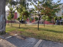 33263.jpg