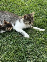 IMG_3553.jpeg