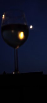 IMG_20260720_220208.jpg