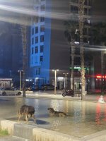 20260721_220353.jpg 20260721_220353.jpg