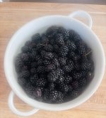 IMG_1311.jpeg IMG_1311.jpeg