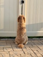IMG_5960.jpeg