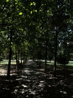 IMG_4010.jpeg