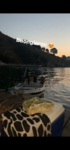 E726D381-5AEF-46E9-95C0-CF27CF656C23.png